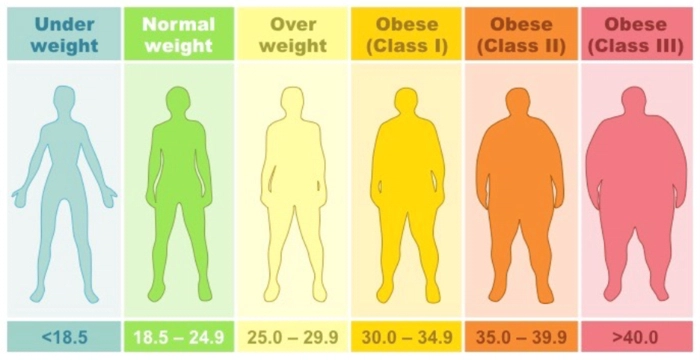 به ترتیب از سمت راست چاقی مفرط کلاس3 – چاقی مفرط کلاس2 – چاقی مفرط کلاس1 – اضافه وزن – وزن نرمال – کمبود وزن