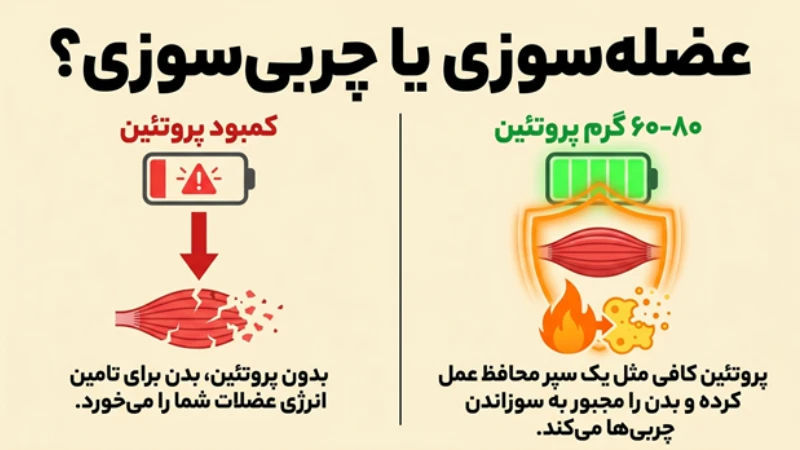 برنامه غذایی پروتئینی بعد از عمل لاغری