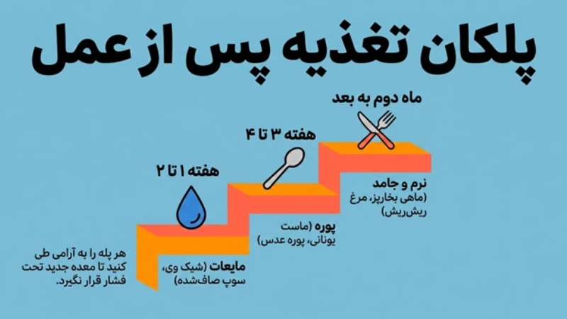 برنامه غذایی پروتئینی بعد از عمل لاغری