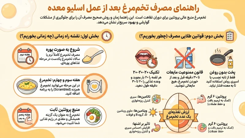 خوردن تخممرغ بعد از عمل لاغری