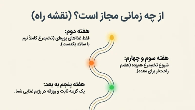 خوردن تخممرغ بعد از عمل اسلیو معده
