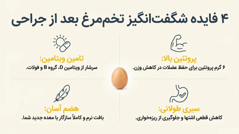 خوردن تخممرغ بعد از اسلیو