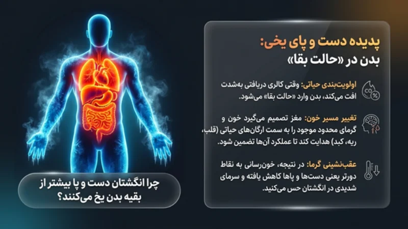 احساس سرما بعد از اسلیو