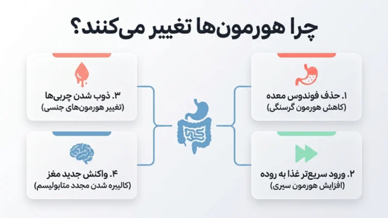 تغییرات هورمونی بعد از عمل لاغری