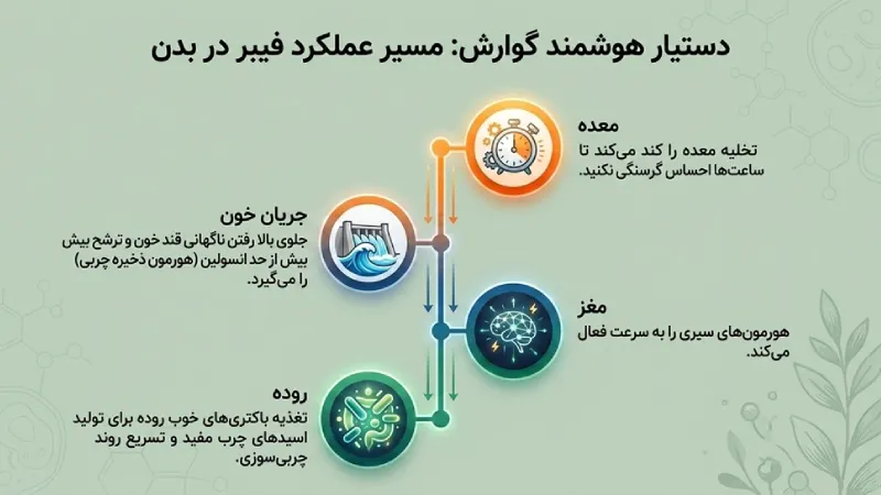 سبزیجات برای لاغری