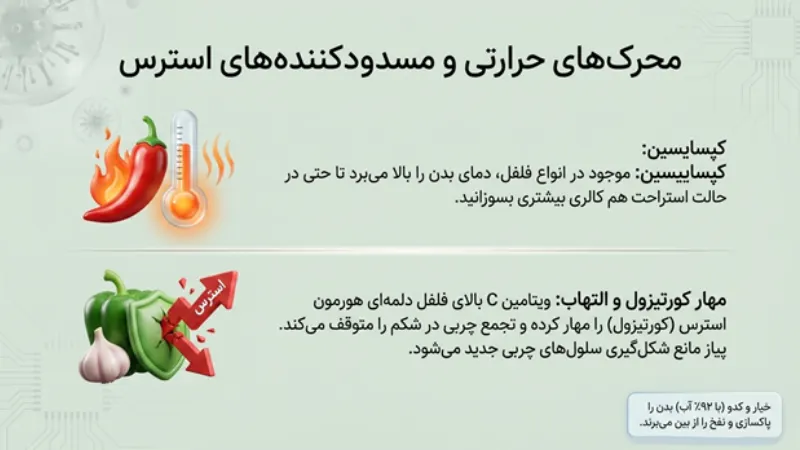 بهترین سبزیجات برای لاغری