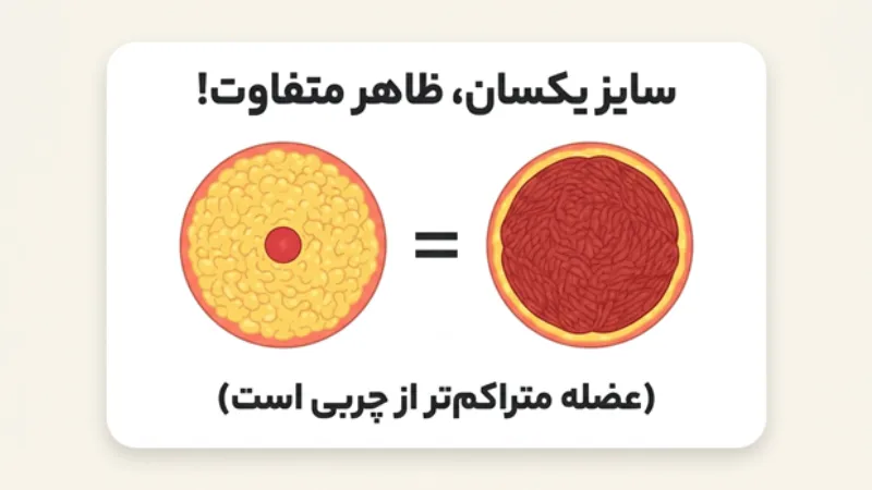تفاوت کاهش سایز و کاهش وزن بازو