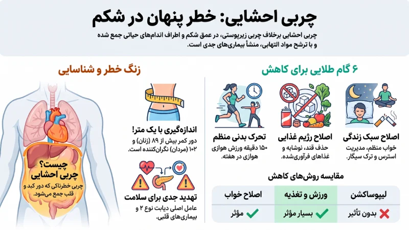 چربی احشایی شکم