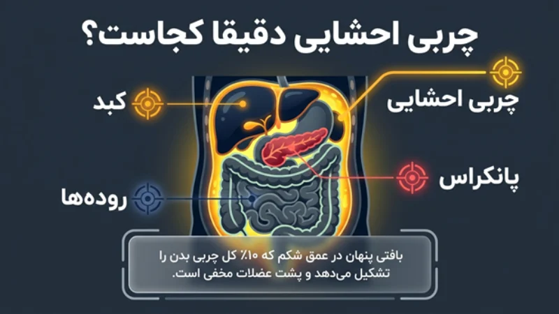 چربی احشایی شکم