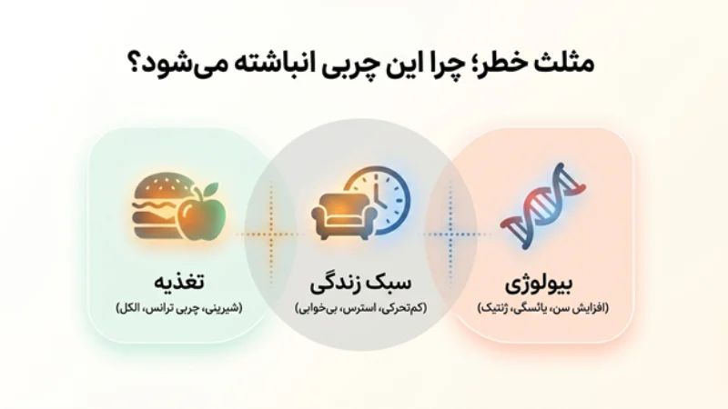 چربی احشایی شکم