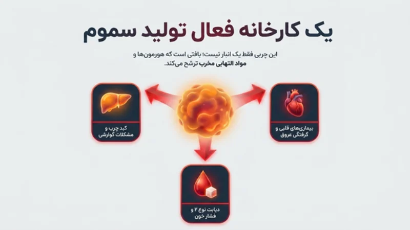 چربی احشایی شکم