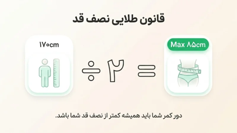 چربی احشایی شکم