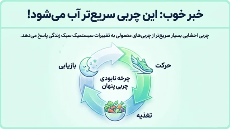چربی احشایی شکم