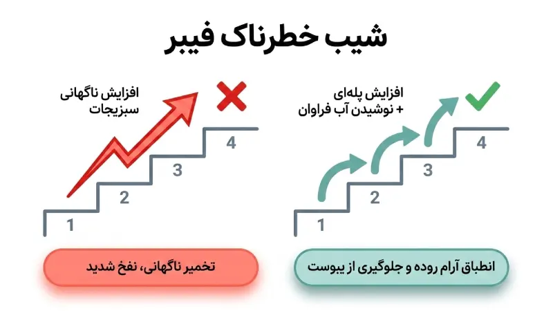 شیب خطرناک فیبر