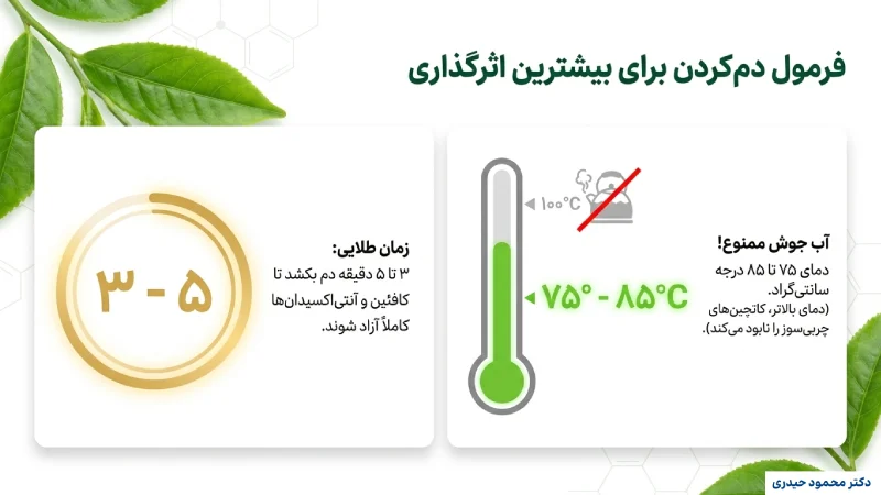 دستورالعمل مصرف چای سبز برای تاثیر حداکثری بر لاغری