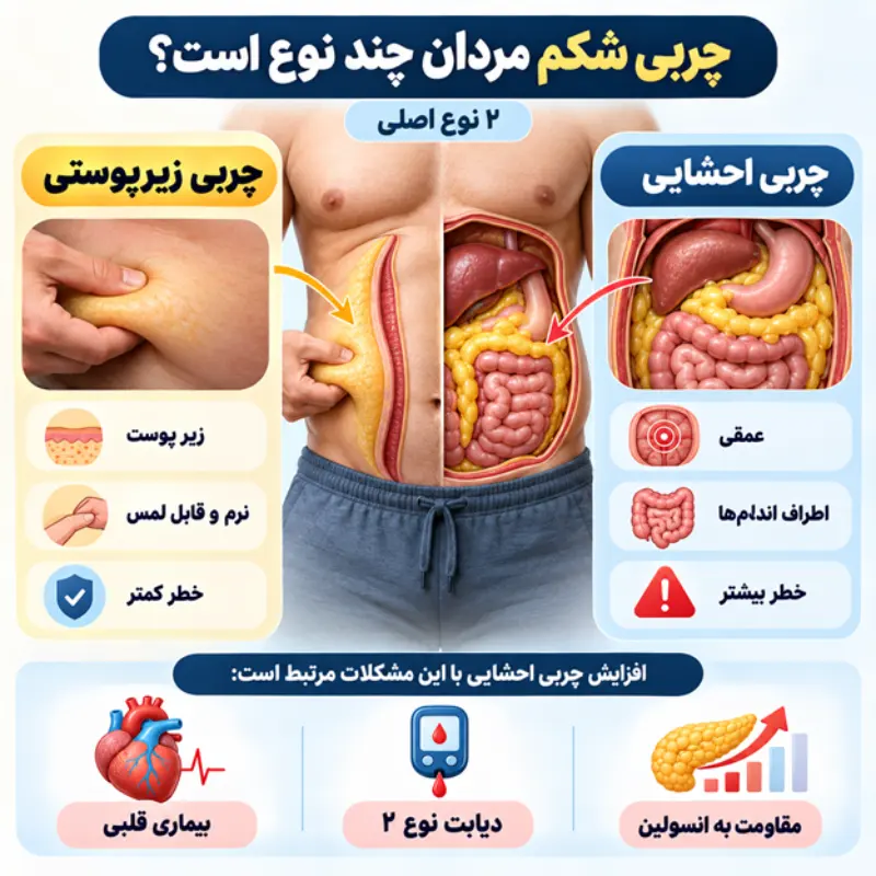 چربی شکم مردان چند نوع است؟
