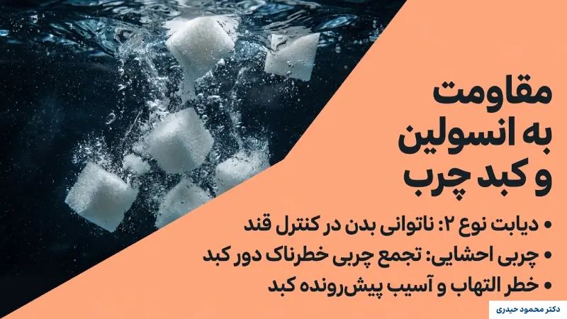 دیابت نوع ۲ و کبد چرب؛ از عوارض مهم اضافه وزن در خانم‌ها