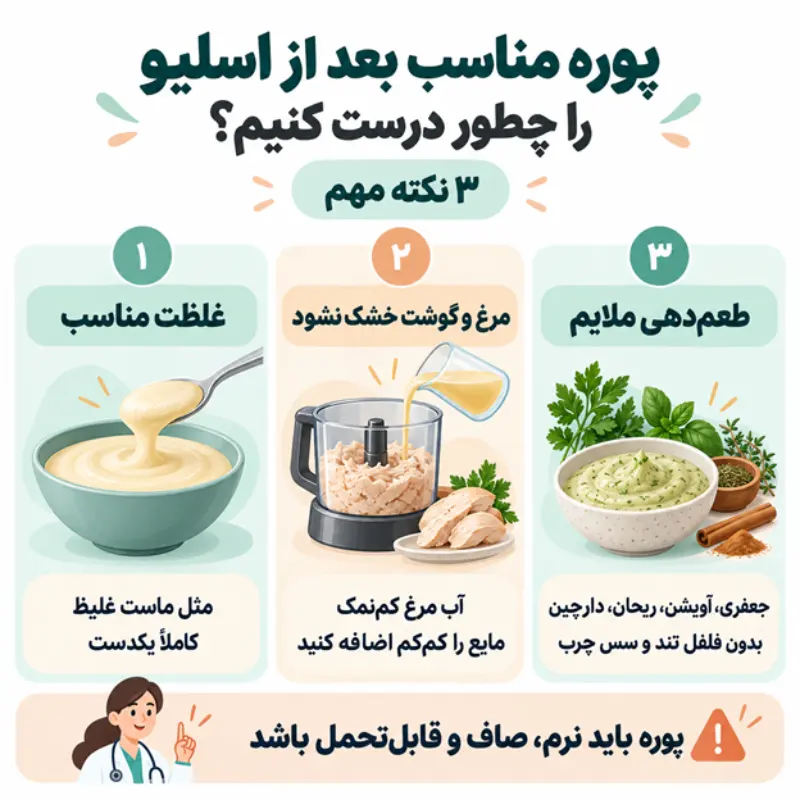 انواع پوره برای بعد از عمل اسلیو را چطور درست کنیم؟