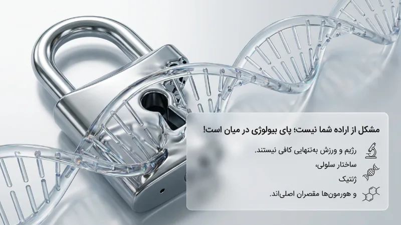 علت آب نشدن چربی شکم و پهلو چیست؟
