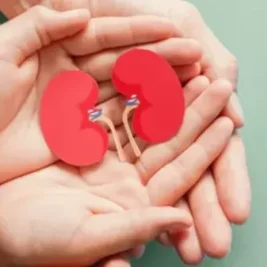 سنگ کلیه و چاقی